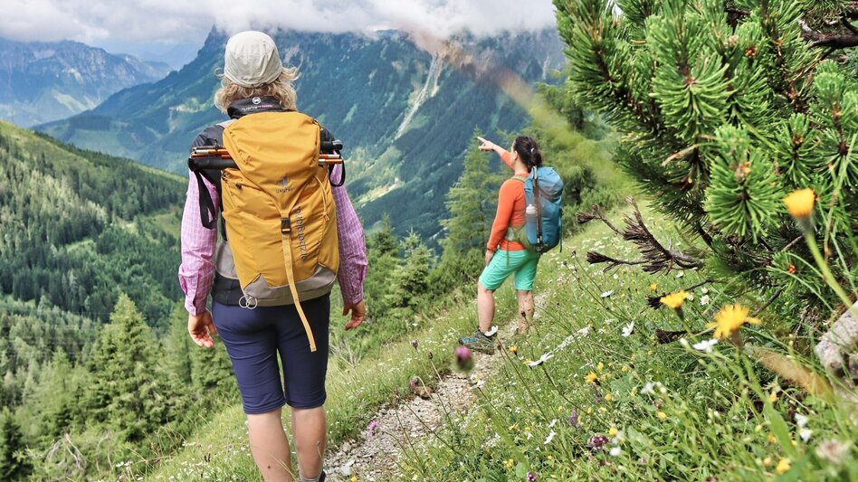 Hiking Route  6. Etappe und 7.Etappe Styrian Iron Trail -  Umgehung während der Jagdsperre - Touren-Impression #2.6 | © Weges OG