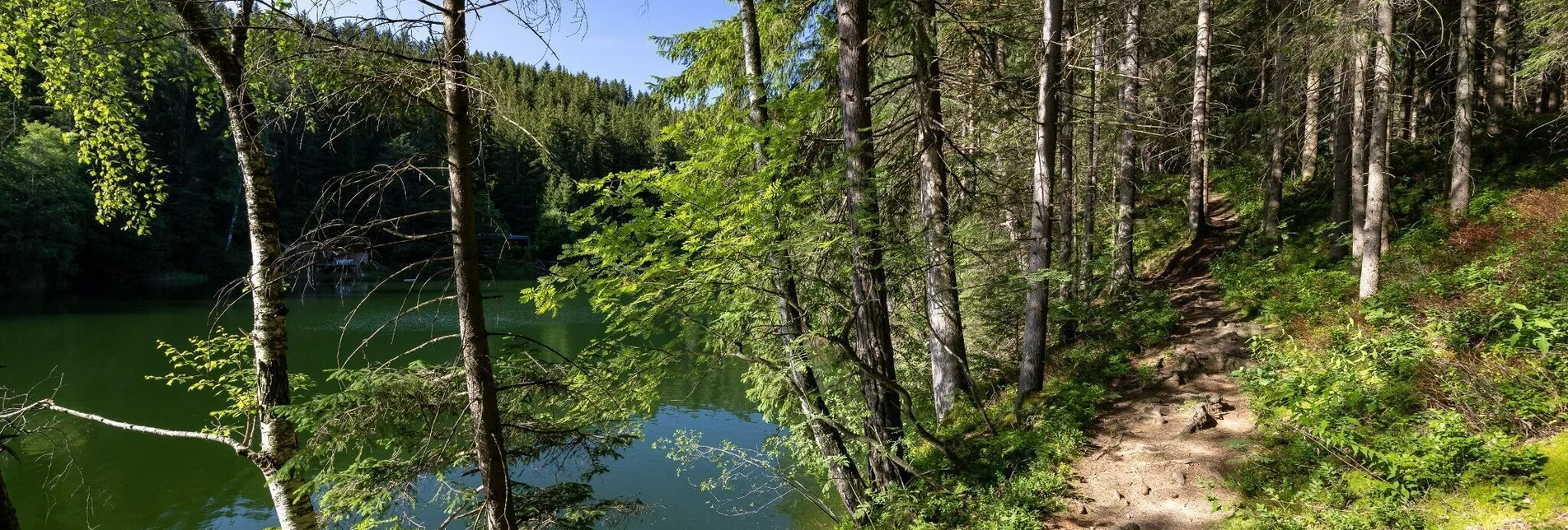 Hiking route Around the Hirzmann reservoir - Touren-Impression #1 | © Region Graz