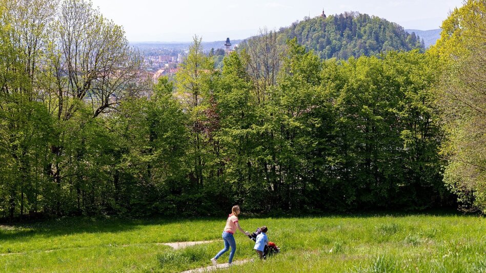 Hiking Route Stroll between Rosenhain and Mariagrün - Touren-Impression #2.4 | © Region Graz