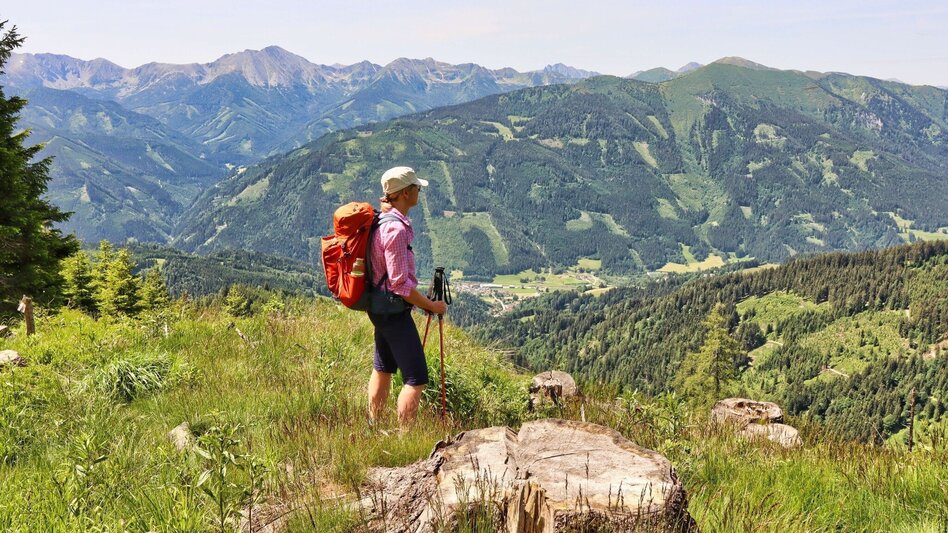 Hiking Route Gesamttour 10 Etappen- Styrian Iron Trail   - Touren-Impression #2.37 | © Weges OG