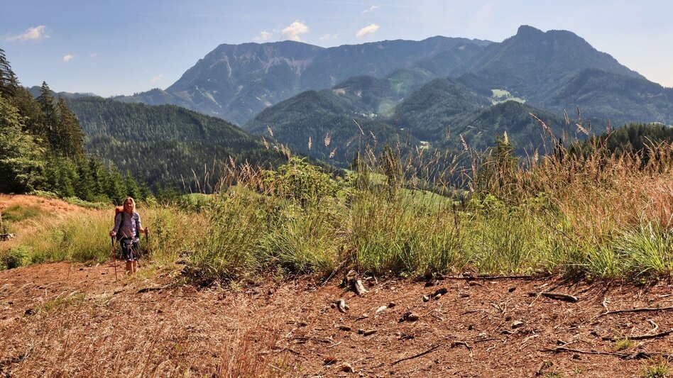 Hiking Route Gesamttour 10 Etappen- Styrian Iron Trail   - Touren-Impression #2.50 | © Weges OG