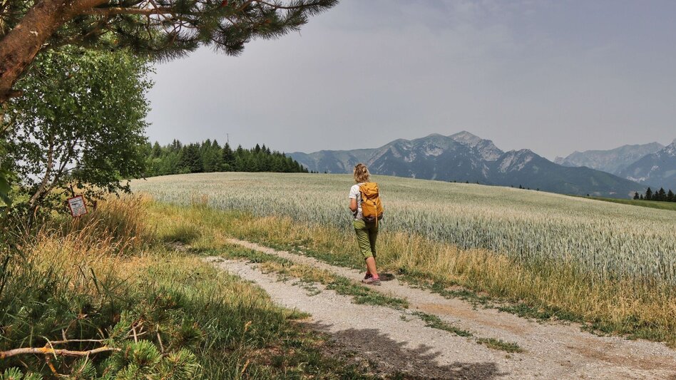 Hiking Route Gesamttour 10 Etappen- Styrian Iron Trail   - Touren-Impression #2.66 | © Weges OG
