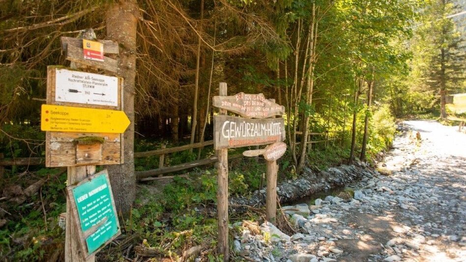 Wanderung Wanderung zur Gewürzalm Oppenberg - Touren-Impression #2.2 | © TV Gesäuse
