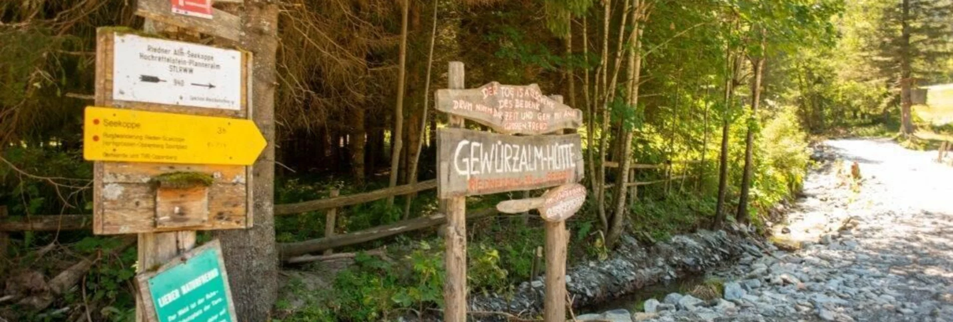 Hiking route Hiking to Gewürzalm Oppenberg - Touren-Impression #1 | © TV Gesäuse