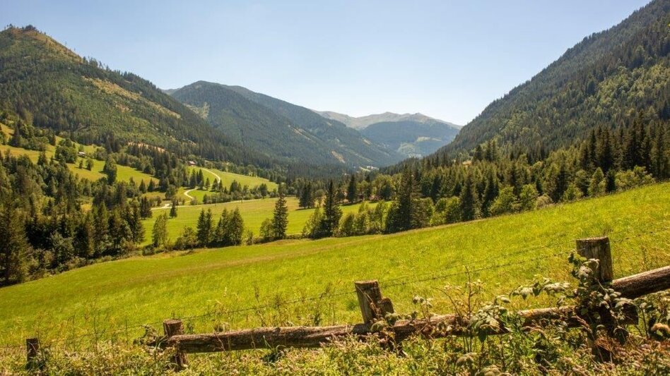 Wanderung Wanderung zur Gewürzalm Oppenberg - Touren-Impression #2.4 | © TV Gesäuse