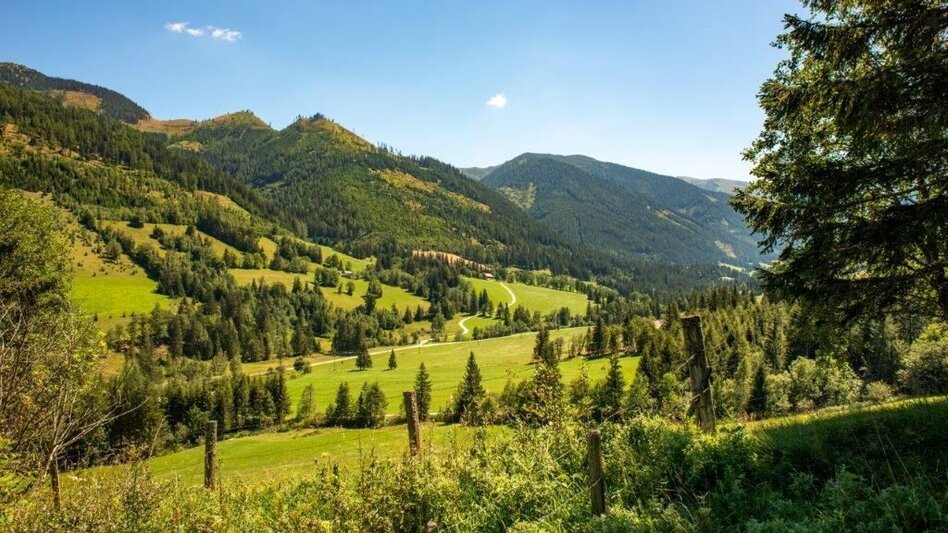 Wanderung Wanderung zur Gewürzalm Oppenberg - Touren-Impression #2.5 | © TV Gesäuse