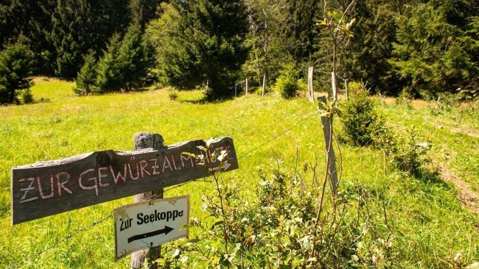 Wanderung Wanderung zur Gewürzalm Oppenberg - Touren-Impression #2.6 | © TV Gesäuse