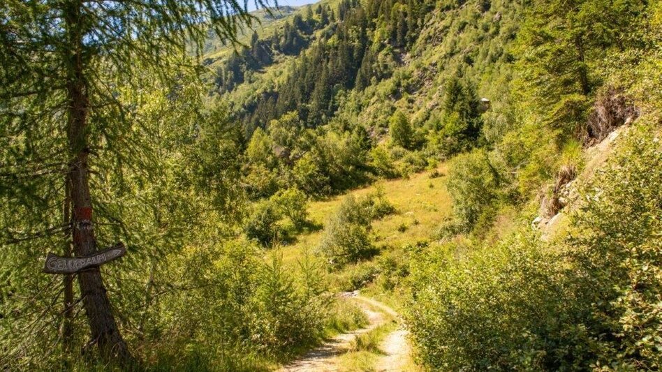 Wanderung Wanderung zur Gewürzalm Oppenberg - Touren-Impression #2.7 | © TV Gesäuse