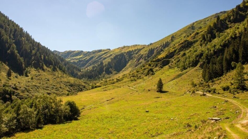 Wanderung Wanderung zur Gewürzalm Oppenberg - Touren-Impression #2.8 | © TV Gesäuse