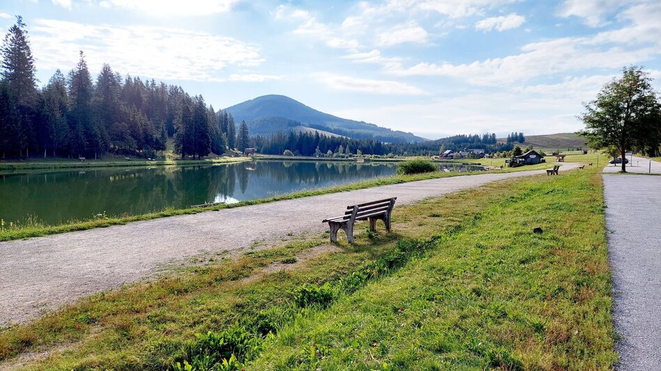 Radfahren Drachentour, Teichalm - Touren-Impression #2.1 | © Oststeiermark Tourismus