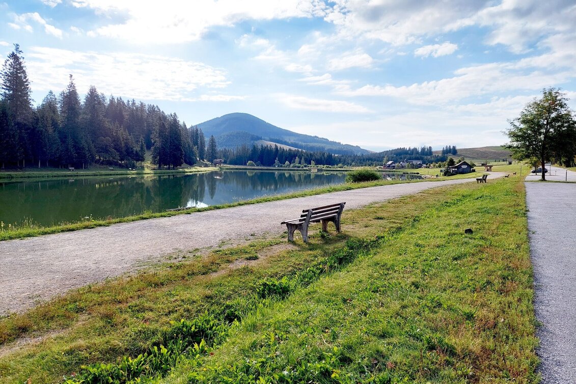 Radfahren Drachentour, Teichalm - Touren-Impression #1 | © Oststeiermark Tourismus
