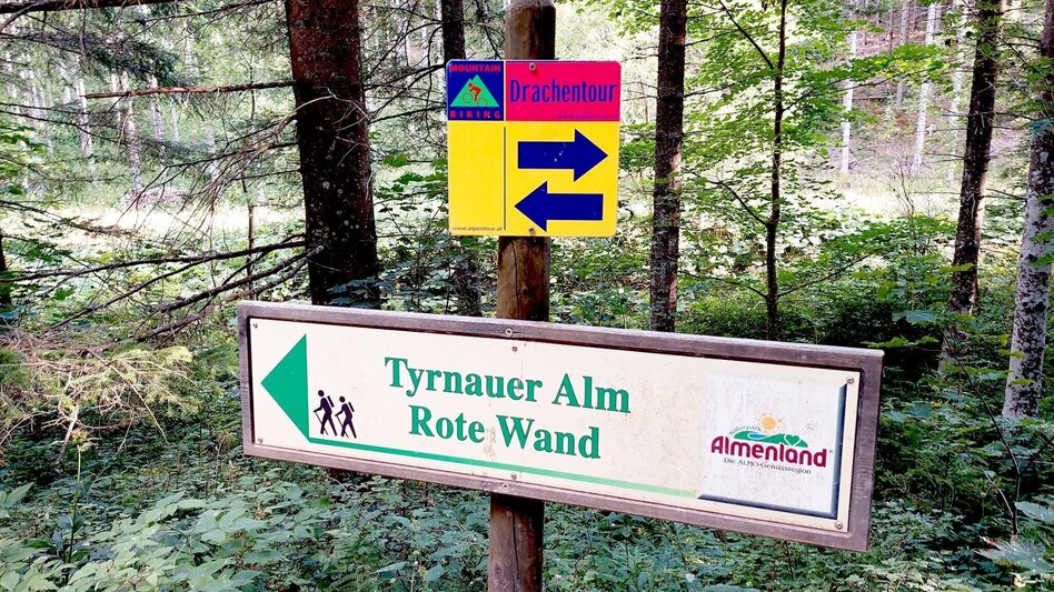 Radfahren Drachentour, Teichalm - Touren-Impression #2.2 | © Oststeiermark Tourismus