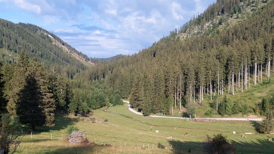 Radfahren Drachentour, Teichalm - Touren-Impression #2.5 | © Oststeiermark Tourismus