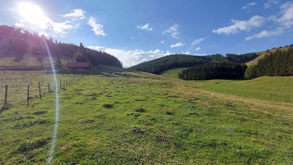 Radfahren Drachentour, Teichalm - Touren-Impression #2.6 | © Oststeiermark Tourismus