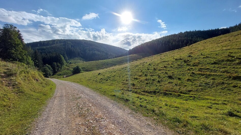 Radfahren Drachentour, Teichalm - Touren-Impression #2.7 | © Oststeiermark Tourismus