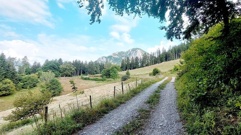 Radfahren Drachentour, Teichalm - Touren-Impression #2.9 | © Oststeiermark Tourismus