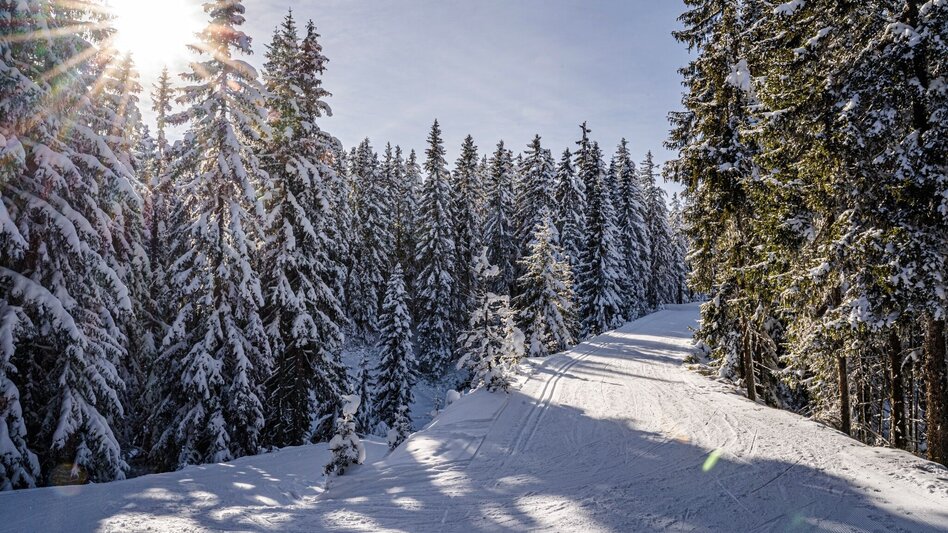 Langlauf Skating Rittisberg 1500 - Touren-Impression #2.1 | © Erlebnisregion Schladming-Dachstein