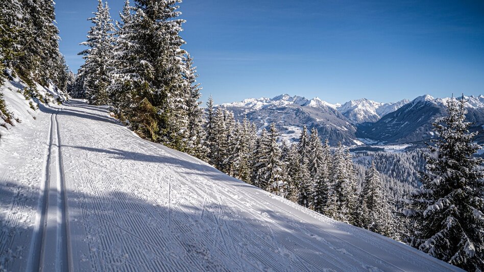 Langlauf Skating Rittisberg 1500 - Touren-Impression #2.3 | © Erlebnisregion Schladming-Dachstein