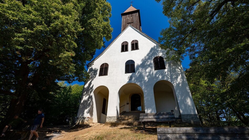 Wanderung Buchkogel: Der Weg ist das Ziel - Touren-Impression #2.8 | © Graz Tourismus