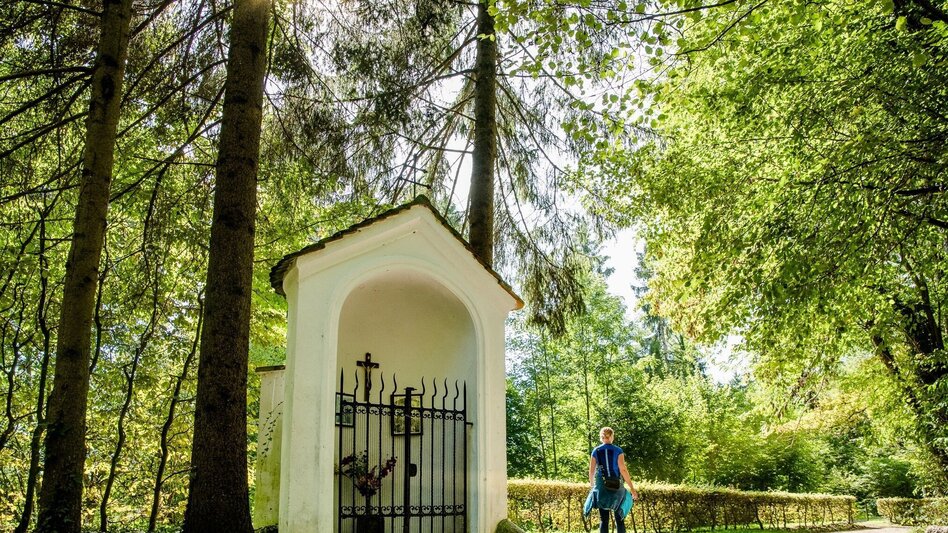 Wanderung Im Reich des Leechwald Hansi - Von Mariatrost zum Hilmteich - Touren-Impression #2.6 | © Graz Tourismus
