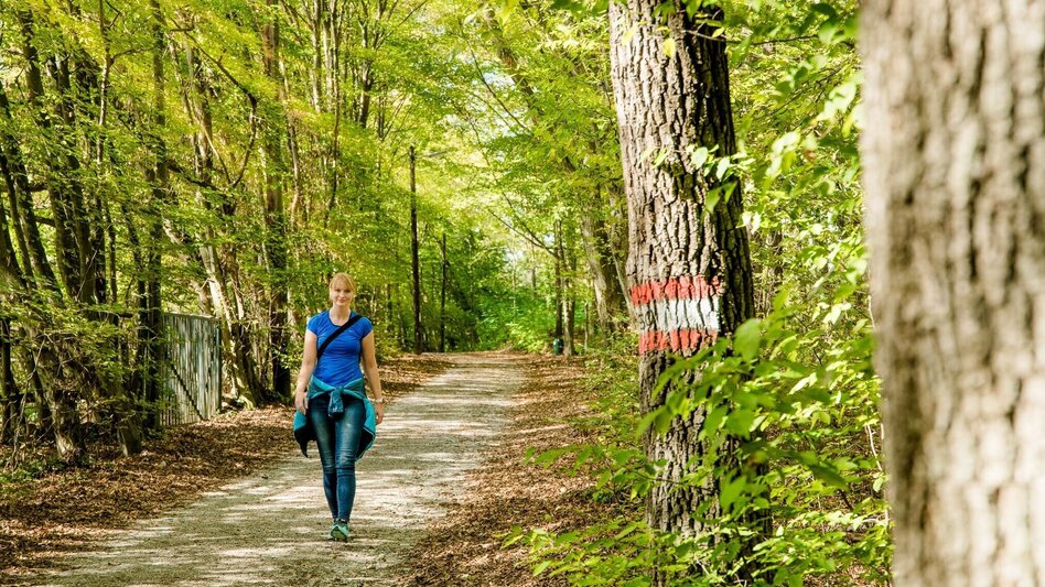 Wanderung Im Reich des Leechwald Hansi - Von Mariatrost zum Hilmteich - Touren-Impression #2.7 | © Graz Tourismus