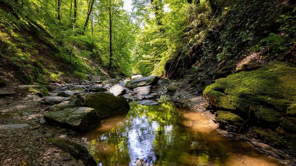 Wanderung Wanderung der Sinne: Rettenbachklamm - Mariatrost - Touren-Impression #2.3 | © Graz Tourismus