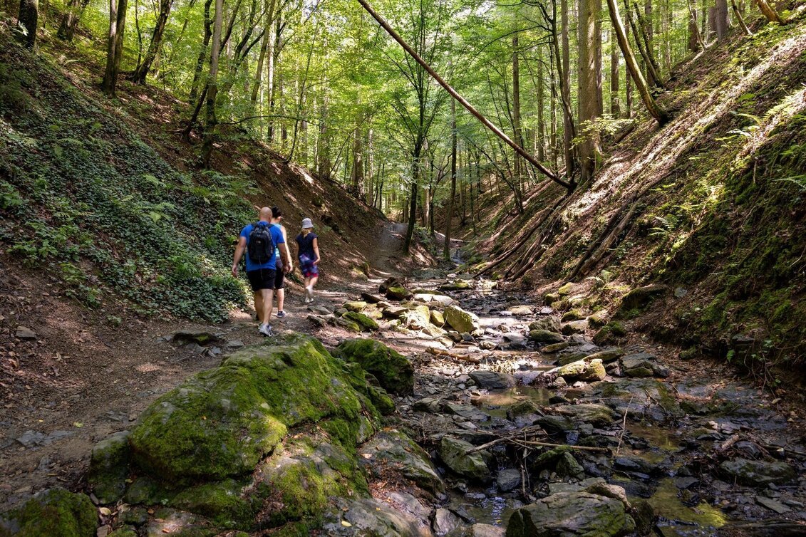 Hiking Route Senses hike: Rettenbach - Mariatrost - Touren-Impression #1 | © Graz Tourismus