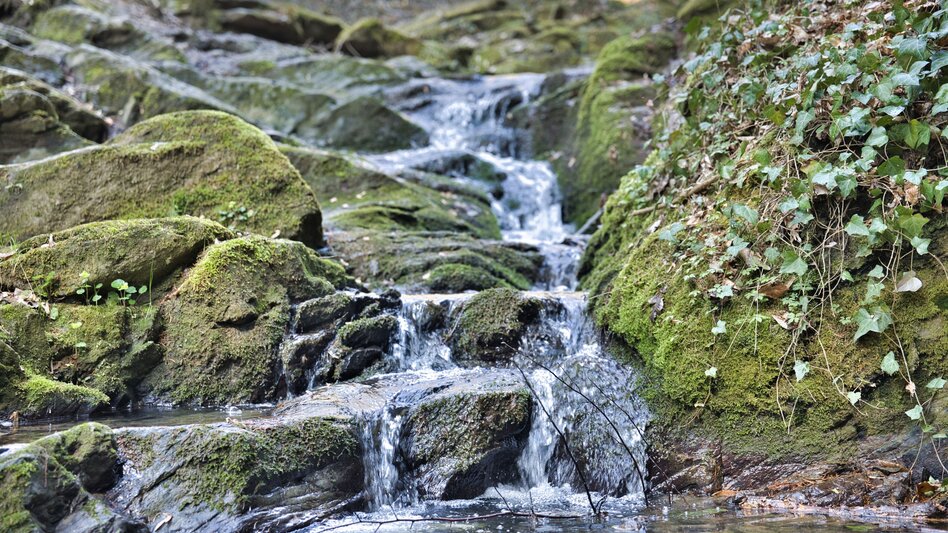 Wanderung Rettenbachklamm - Mariatrost: Wanderung der Sinne - Touren-Impression #2.4