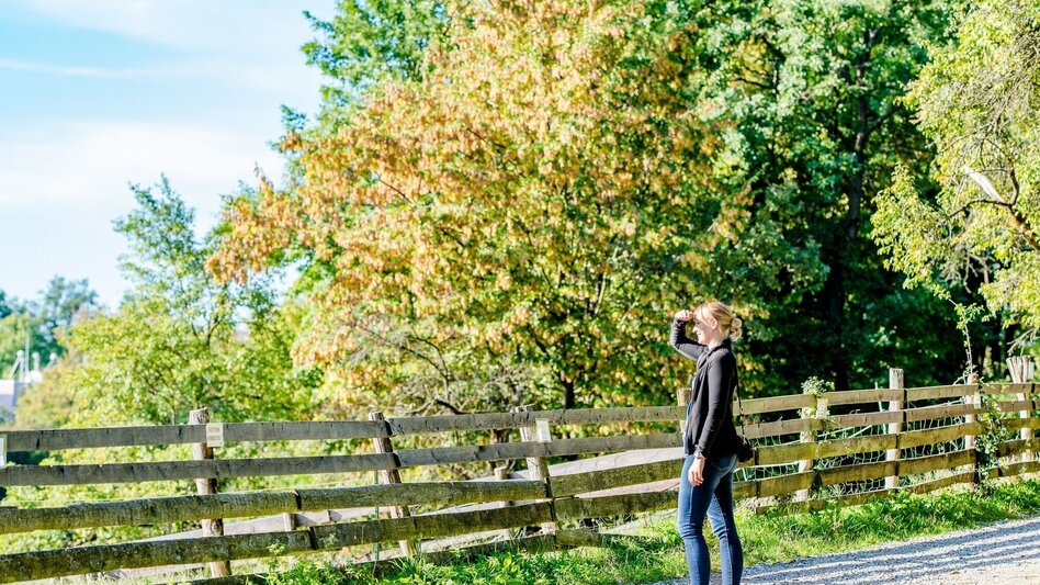 Wanderung Lust(ig) wandeln am Lustbühel - Touren-Impression #2.5 | © Graz Tourismus