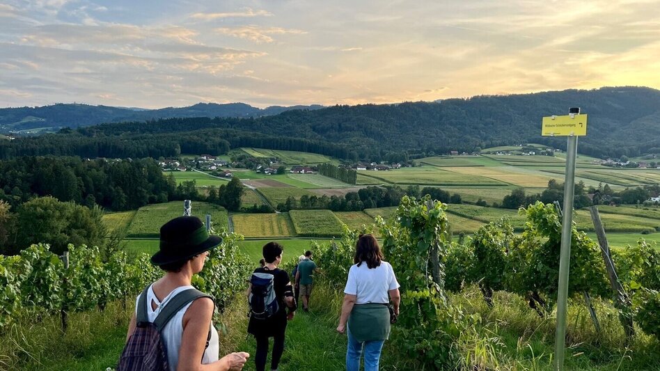Hiking Route Wildbach Schilcher Tour - Touren-Impression #2.1 | © TV Südsteiermark