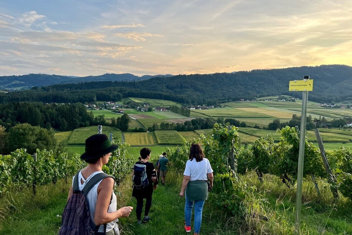 Hiking Route Wildbach Schilcher Tour - Touren-Impression #1 | © TV Südsteiermark