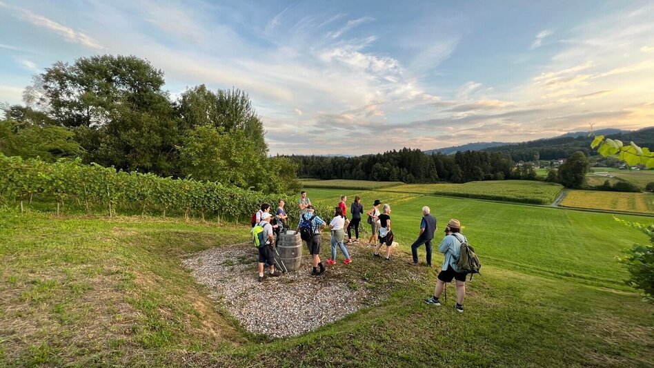 Hiking Route Wildbach Schilcher Tour - Touren-Impression #2.3 | © TV Südsteiermark