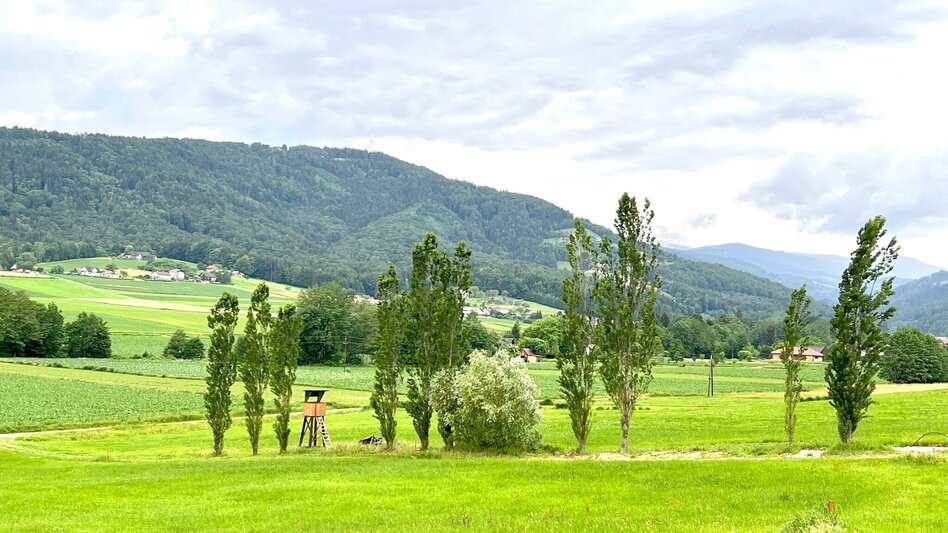 Hiking Route Wildbach Schilcher Tour - Touren-Impression #2.4 | © TV Südsteiermark