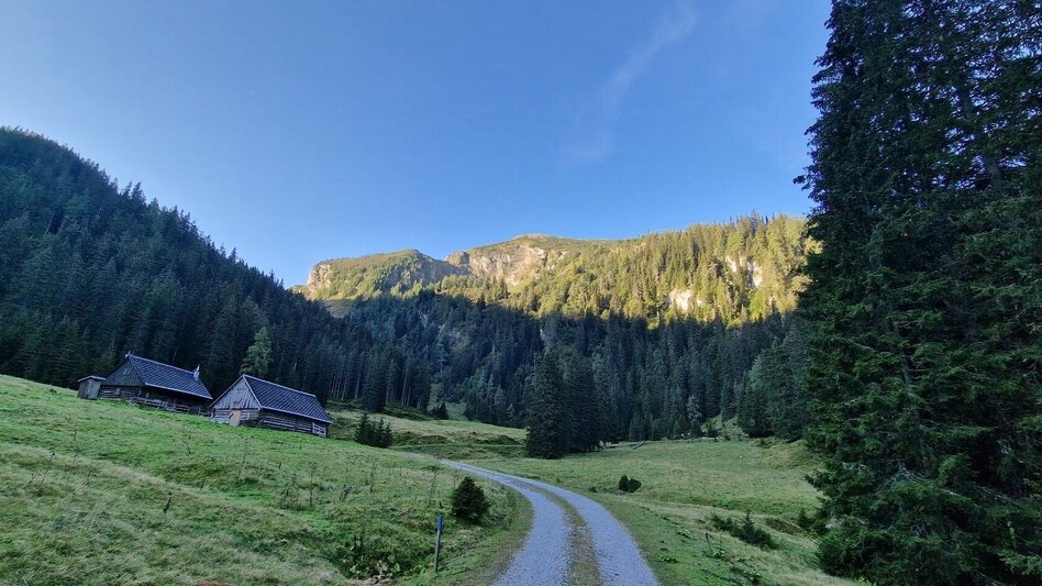 Bergtour Leobner - Blaseneck Runde - Touren-Impression #2.1 | © TV Gesäuse