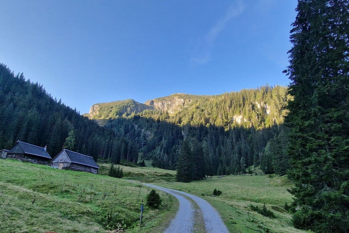 Bergtour Leobner - Blaseneck Runde - Touren-Impression #1 | © TV Gesäuse
