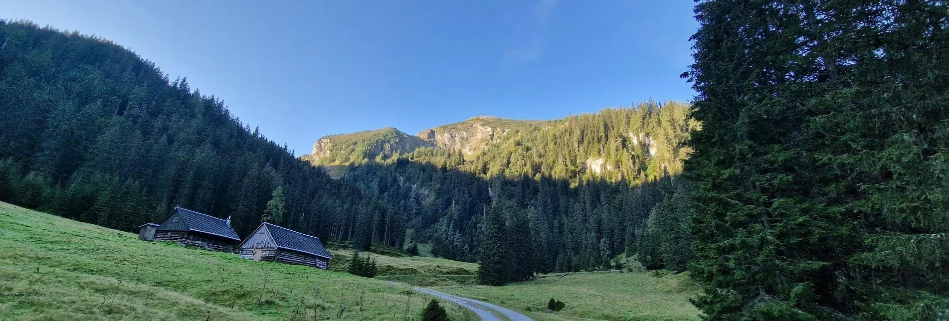 Mountain Hike Leobner - Blaseneck Runde - Touren-Impression #1 | © TV Gesäuse