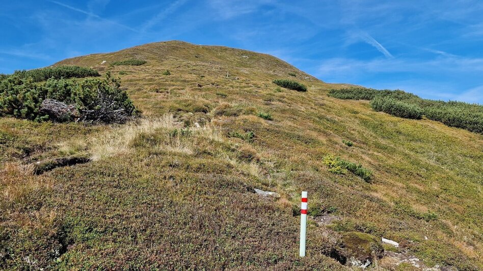 Bergtour Leobner - Blaseneck Runde - Touren-Impression #2.5 | © TV Gesäuse