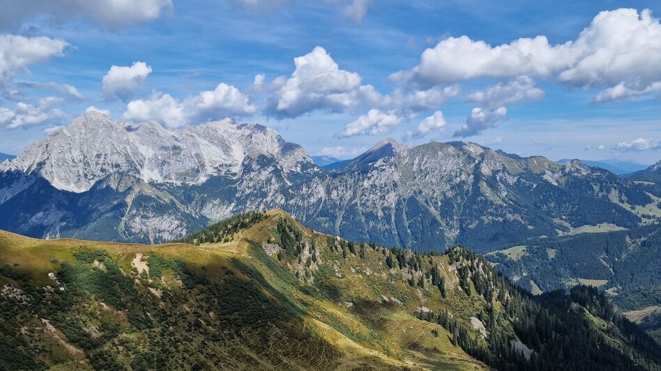 Bergtour Leobner - Blaseneck Runde - Touren-Impression #2.12 | © TV Gesäuse