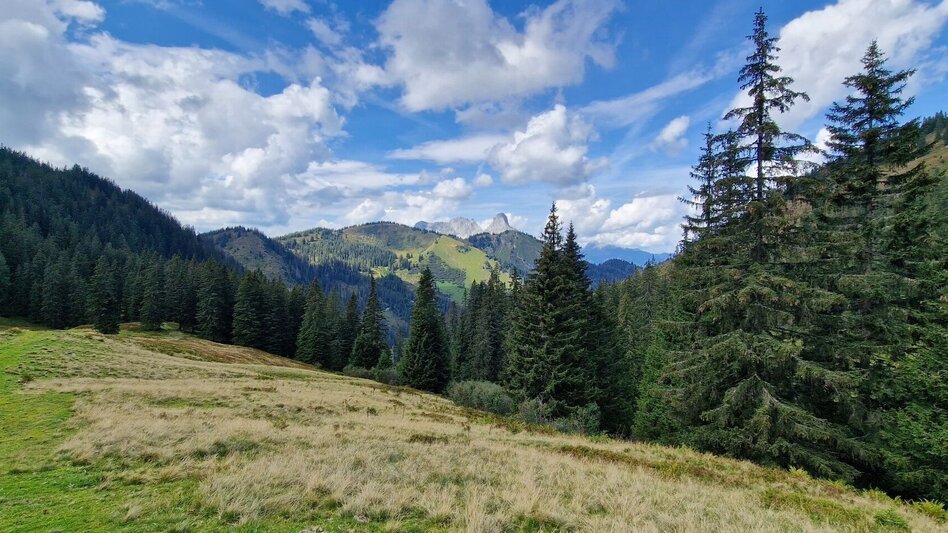 Bergtour Leobner - Blaseneck Runde - Touren-Impression #2.13 | © TV Gesäuse