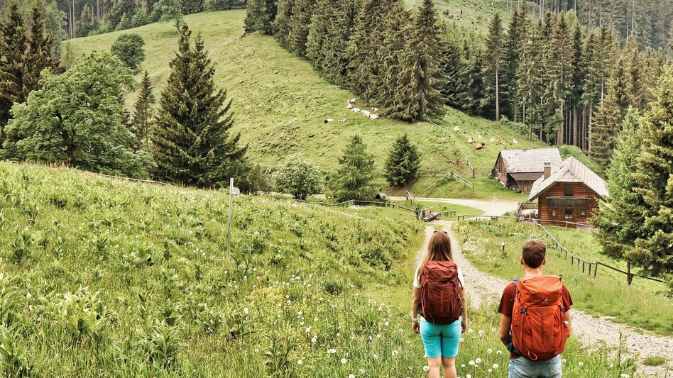 Hiking Route 10.Etappe Umgehungsstrecke Styrian Iron Trail - Niklasdorf - Leoben - Touren-Impression #2.8 | © Weges OG