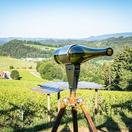 Ausblick in den Weingarten | © TVB/Südsteiermark/Jöbstl