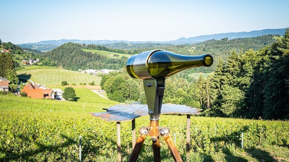 Themed Nature Trail Experience the World of Schilcher Wine - Touren-Impression #2.1 | © TVB/Südsteiermark/Jöbstl