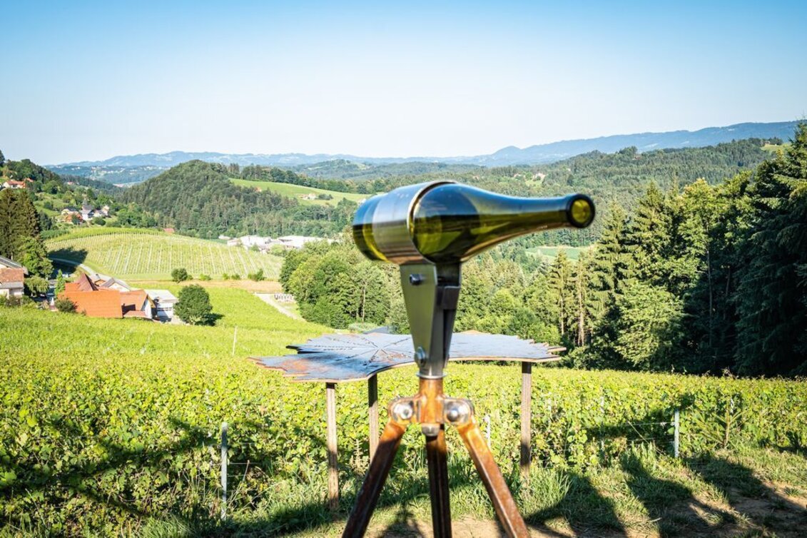 Themed Nature Trail Experience the World of Schilcher Wine - Touren-Impression #1 | © TVB/Südsteiermark/Jöbstl