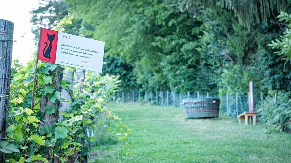 Themed Nature Trail Experience the World of Schilcher Wine - Touren-Impression #2.3 | © TVB/Südsteiermark/Jöbstl