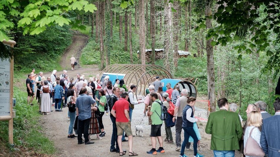 Themed Nature Trail Experience the World of Schilcher Wine - Touren-Impression #2.5 | © TVB/Südsteiermark/Jöbstl