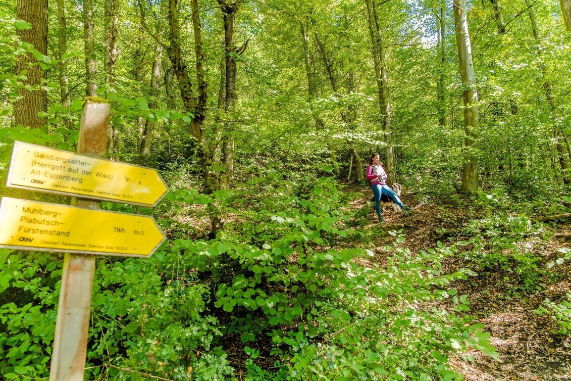 Wanderung Fürstenstand - Hoch hinauf - Touren-Impression #1 | © Graz Tourismus