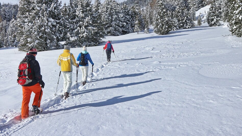 Schneeschuhwandern Kleinlobminger Schnuppertour - markierte Schneeschuhwanderung - Touren-Impression #2.2 | © Erlebnisregion Murtal