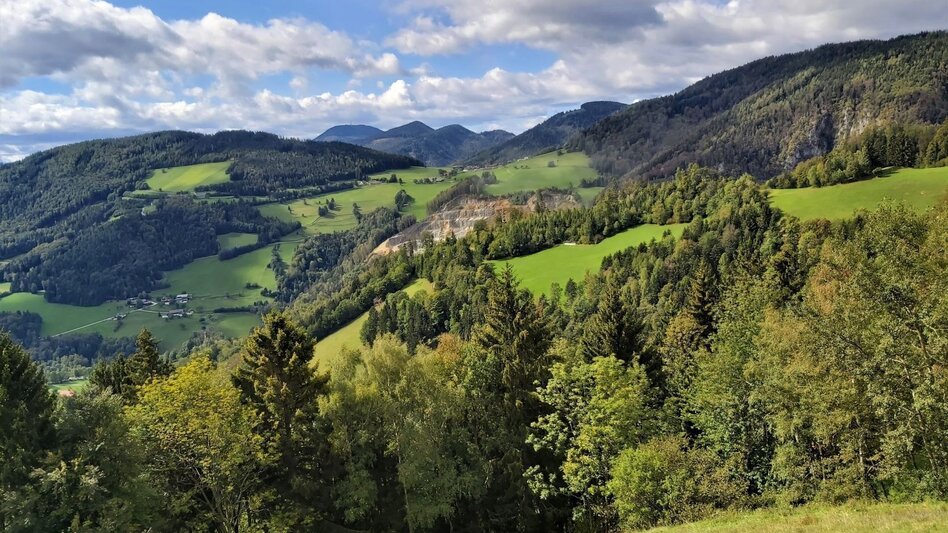 Cycling Weizer Almenland cycle tour - Touren-Impression #2.2 | © Oststeiermark Tourismus