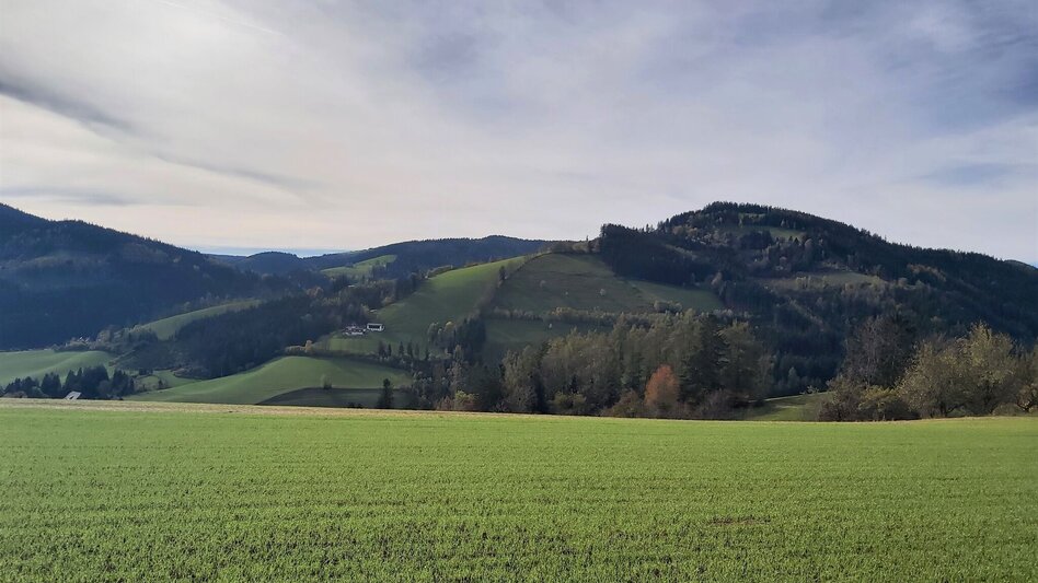Radfahren Waldheimat Runde, Birkfeld - Touren-Impression #2.5 | © Oststeiermark Tourismus