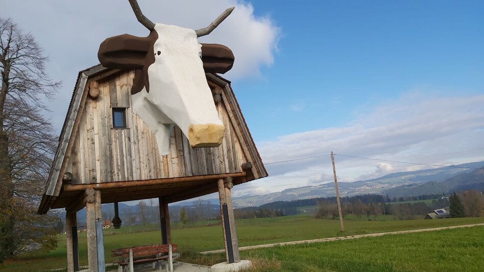 Radfahren Waldheimat Runde, Birkfeld - Touren-Impression #2.6 | © Oststeiermark Tourismus